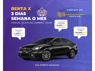 Kia Forte Manual