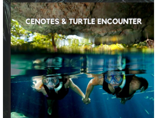 Cenotes and Turtle encounter