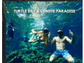 turtle-bay-and-cenote-paradise-small-0