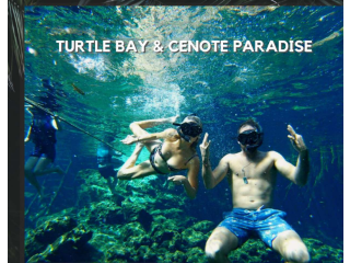 Turtle bay and Cenote paradise