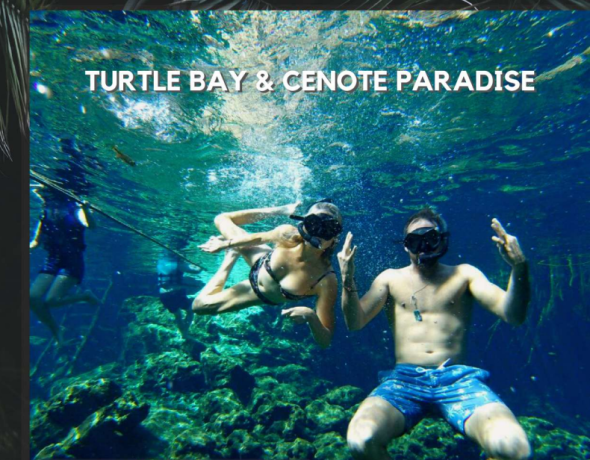 turtle-bay-and-cenote-paradise-big-0