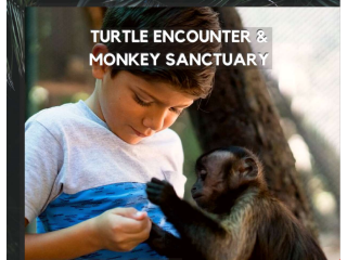 Turtle encounter and Monkey sanctuary