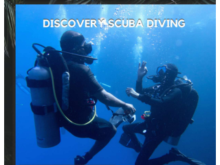 Discovery Scuba Diving